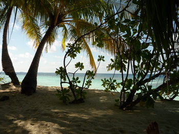 Maldives, South Ari Atoll, Angaga Island Resort